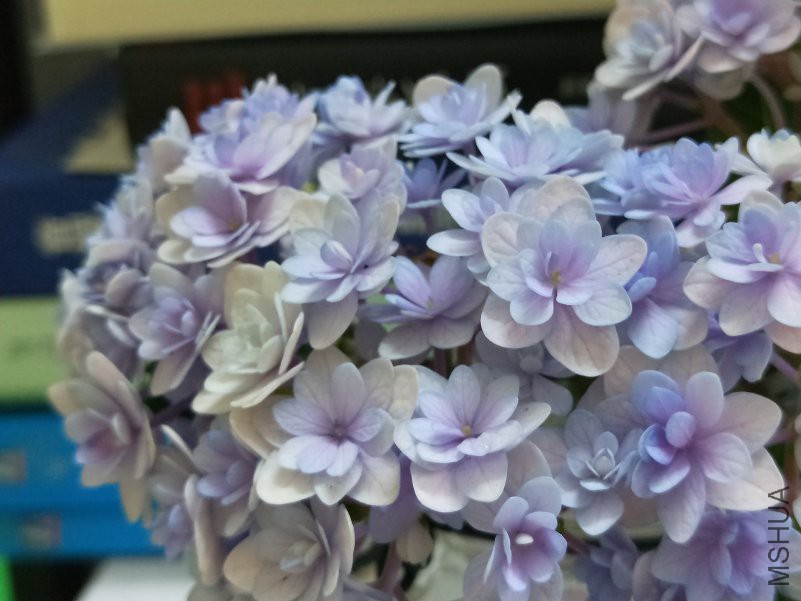 IMG20180414132106.jpg