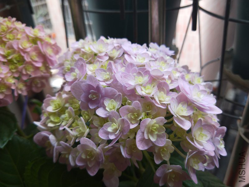 IMG20180403140123.jpg