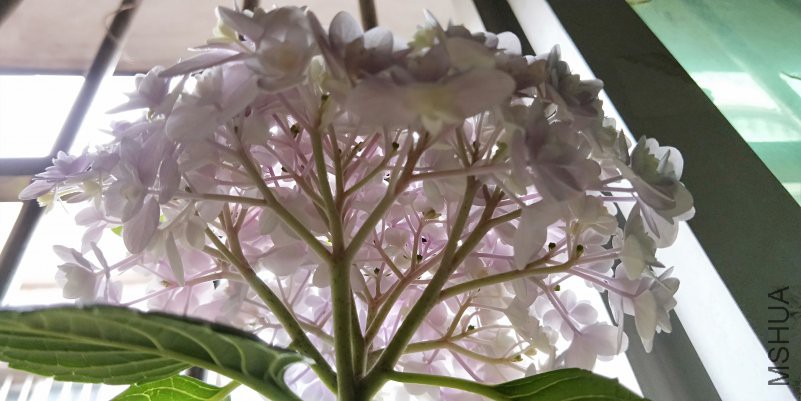 IMG20180414120715.jpg