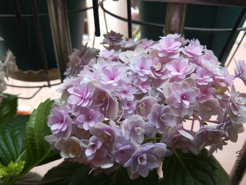 IMG20180419135738.jpg