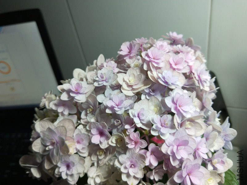 IMG20180418233319.jpg
