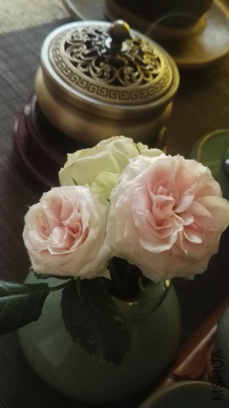 ΢��ͼƬ_20180512183706.jpg
