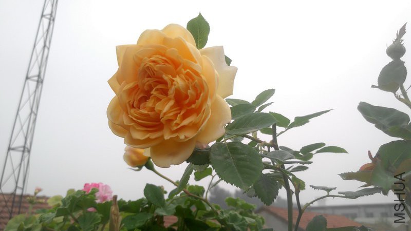 20180509_4.jpg