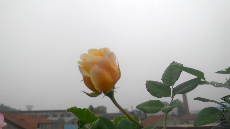 20180509_5.jpg