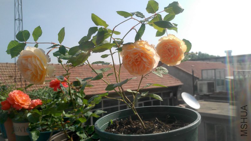 20180504_1.jpg