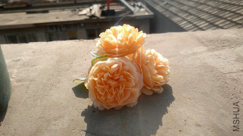 20180504_5.jpg