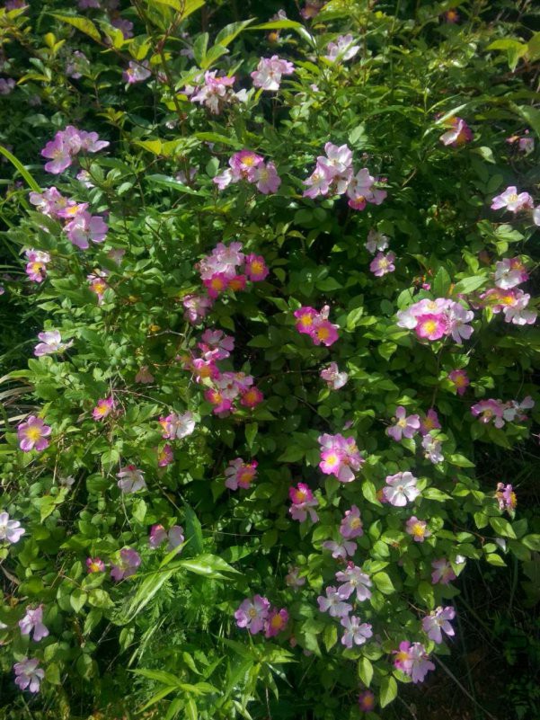 20180513104633.jpg