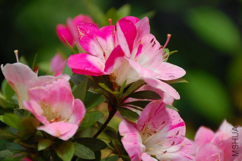 DSC_91790135.JPG