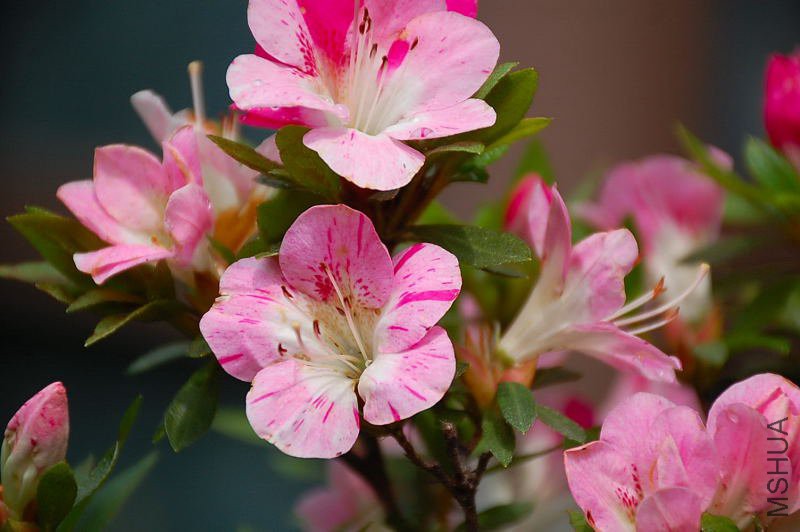 DSC_91720128.JPG