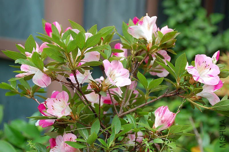 DSC_91880144.JPG