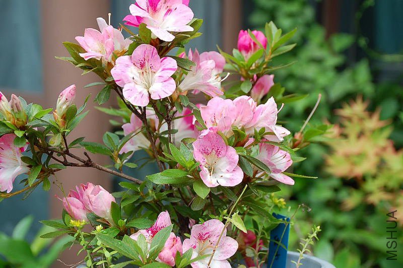 DSC_91930149.JPG