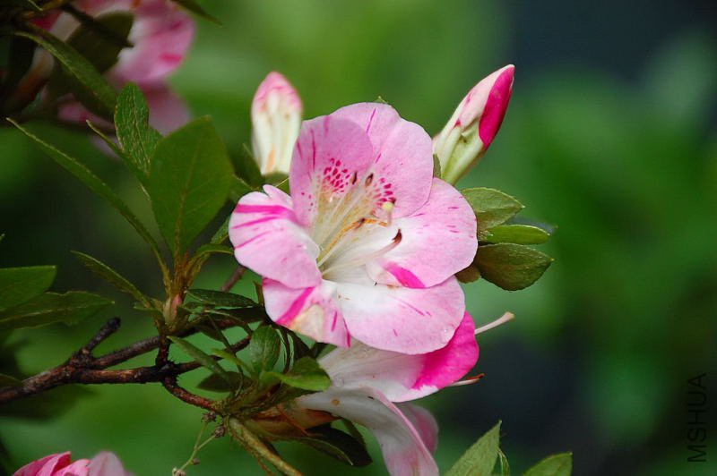 DSC_92030159.JPG