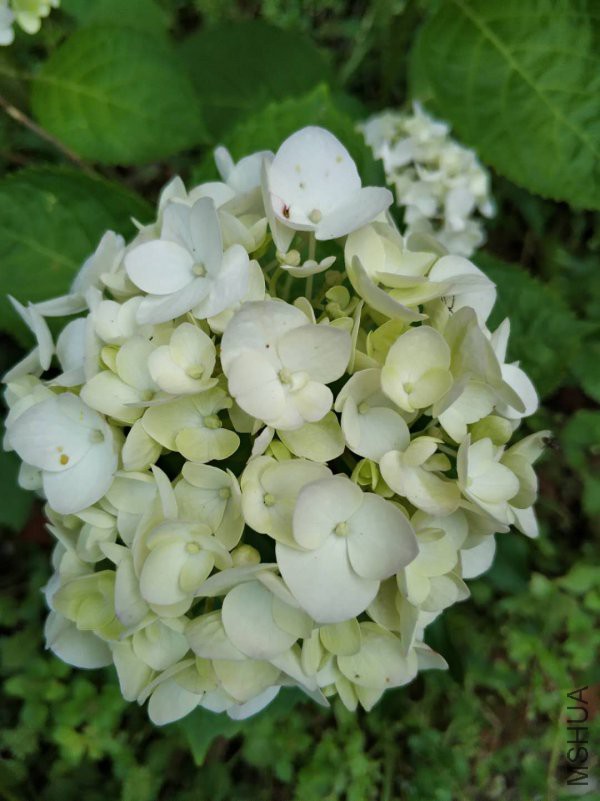 ΢��ͼƬ_20180513234401.jpg