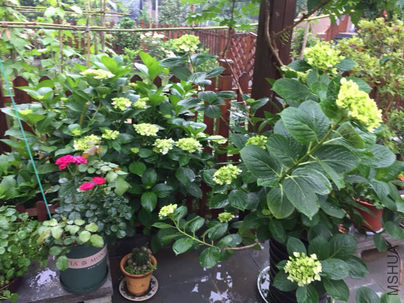 ΢��ͼƬ_20180514090045.jpg