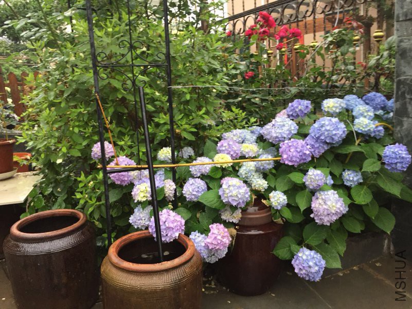 ΢��ͼƬ_20180514090050.jpg