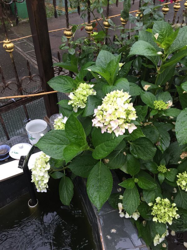 ΢��ͼƬ_20180514090100.jpg