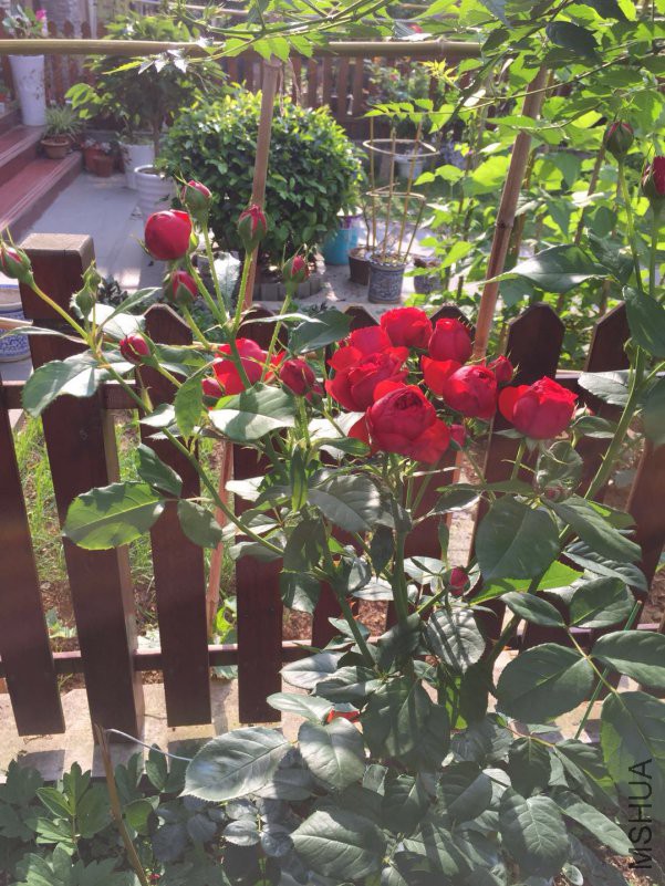 ΢��ͼƬ_20180514085940.jpg