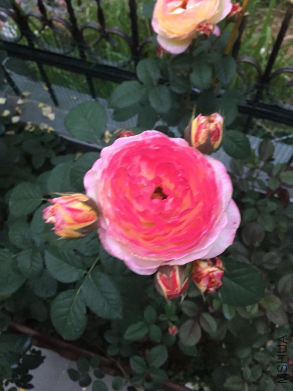 ΢��ͼƬ_20180514090000.jpg