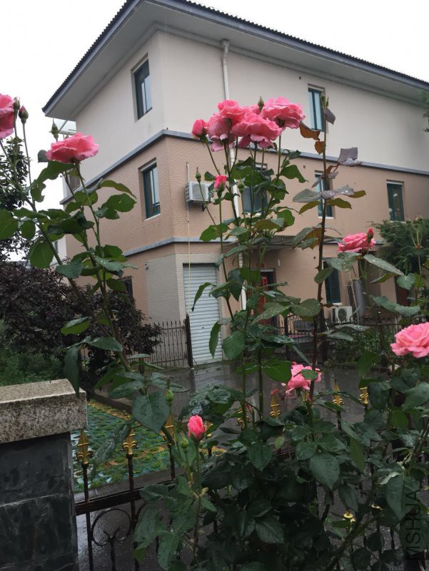 ΢��ͼƬ_20180514090107.jpg