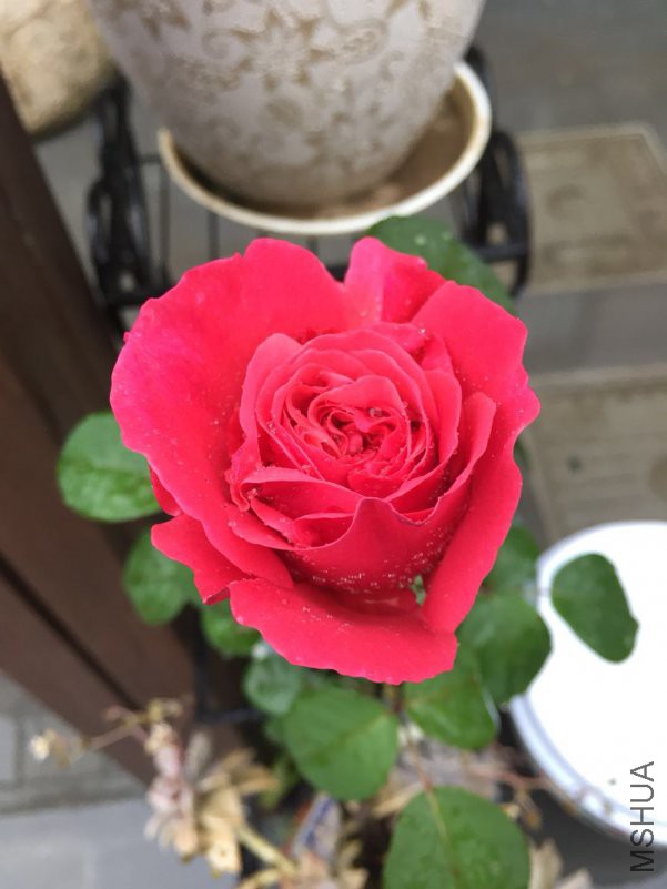 ΢��ͼƬ_20180514090113.jpg