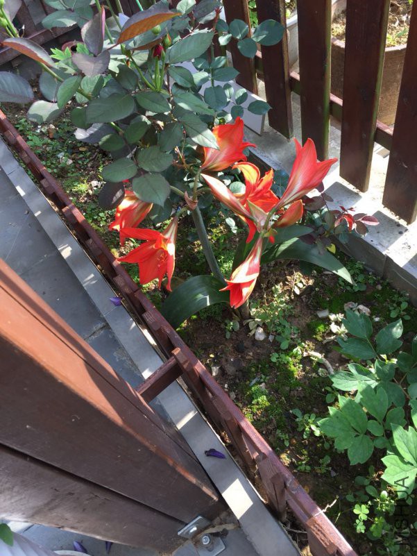΢��ͼƬ_20180514085943.jpg
