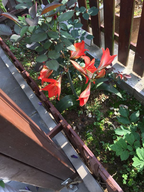 ΢��ͼƬ_20180514085949.jpg