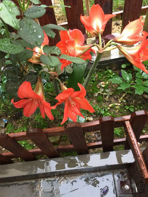 ΢��ͼƬ_20180514090038.jpg