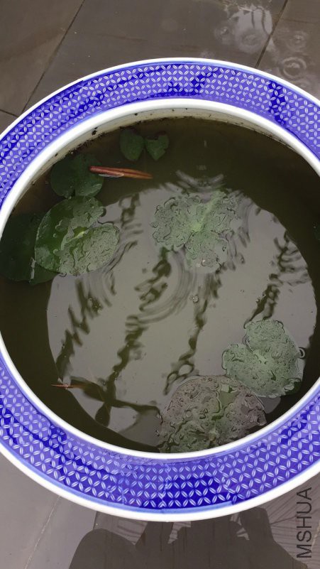 ΢��ͼƬ_20180514090116.jpg