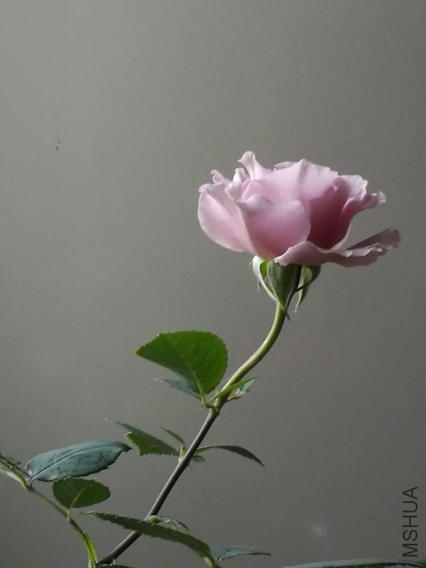 IMG_20180514_070810.jpg