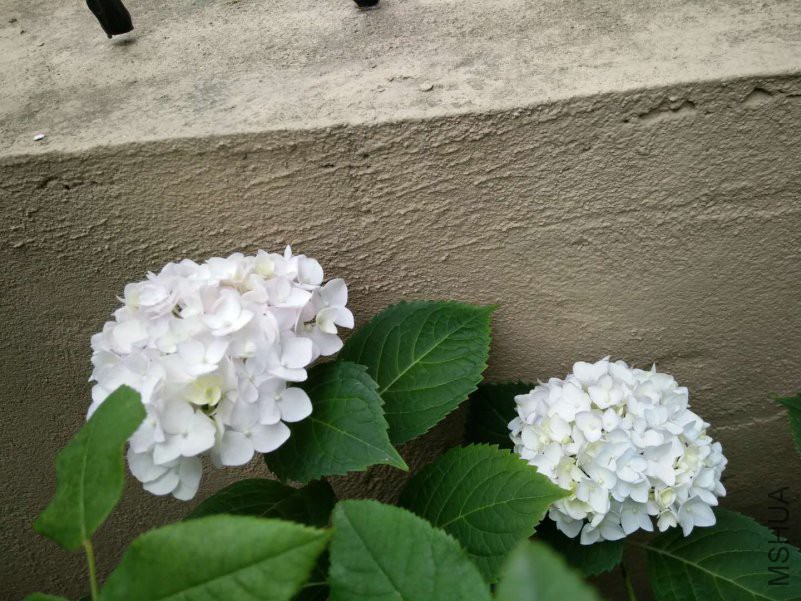΢��ͼƬ_20180514132048.jpg