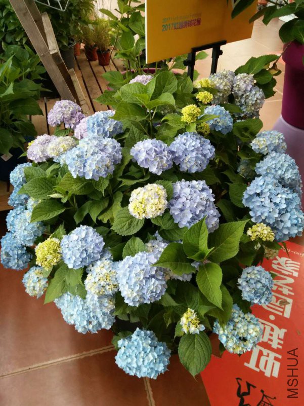 ΢��ͼƬ_20180514132551.jpg
