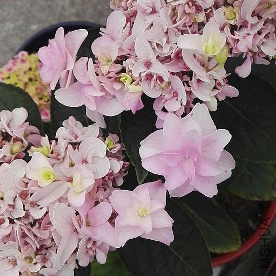 ΢��ͼƬ_20180514154923.jpg
