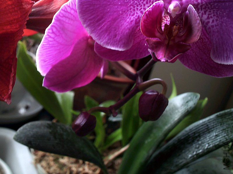 DSCF0009 (2)_����.jpg