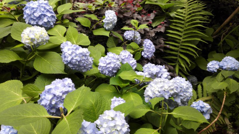 IMG_20180509_070103.jpg
