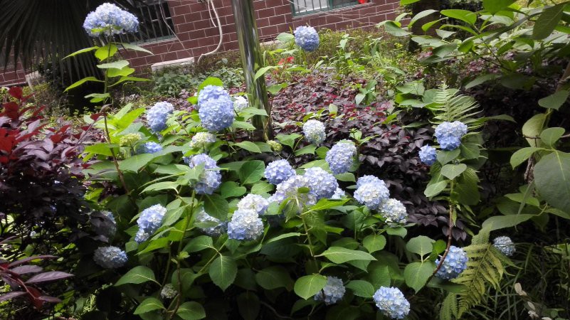 IMG_20180505_180707.jpg