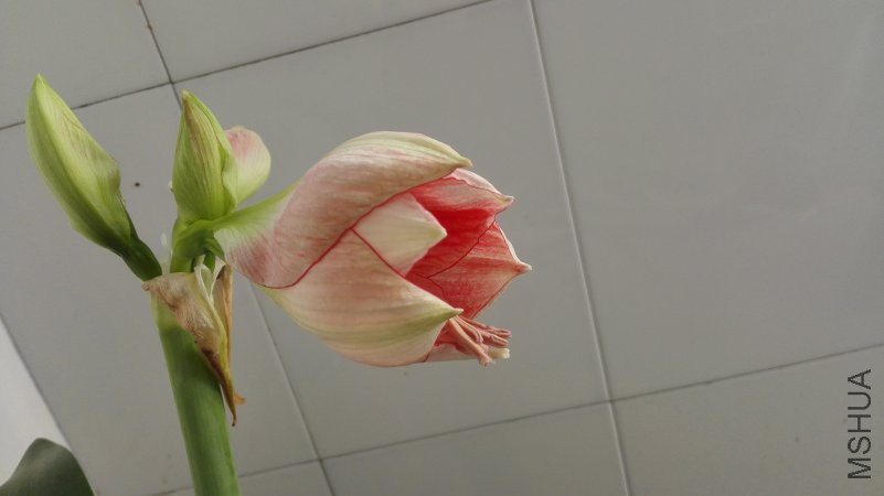 IMG_20180501_165700.jpg