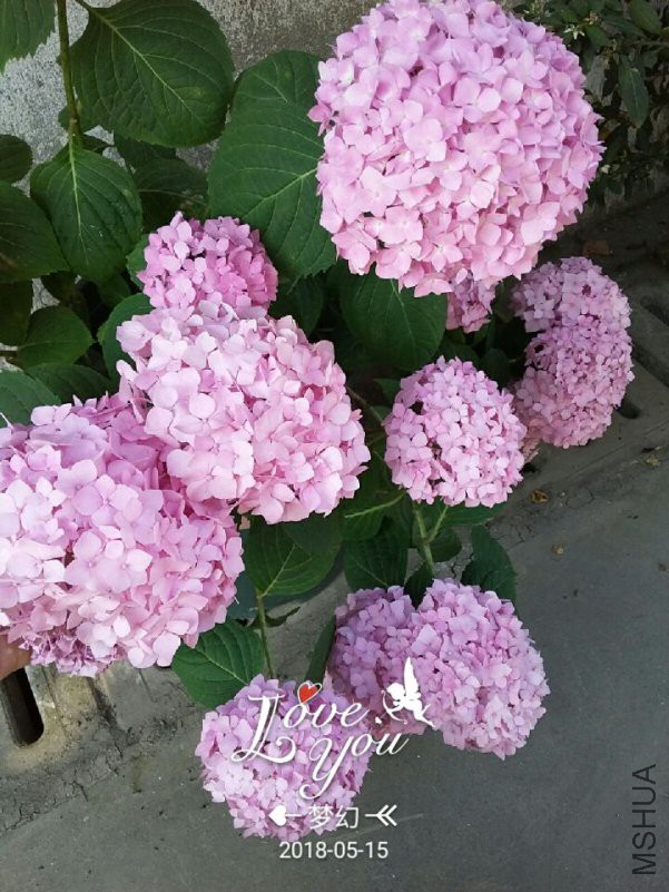 QQͼƬ20180515121114.jpg