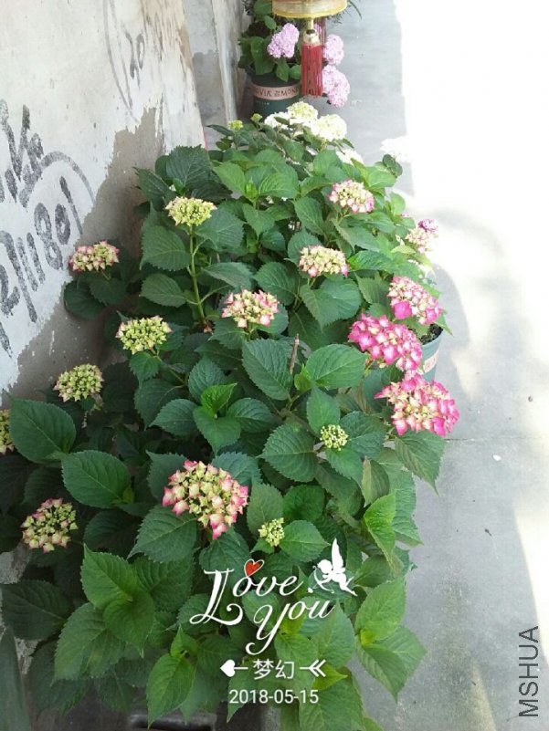 QQͼƬ20180515121124.jpg