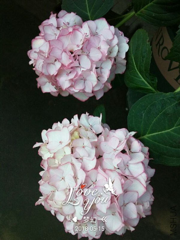 QQͼƬ20180515121127.jpg