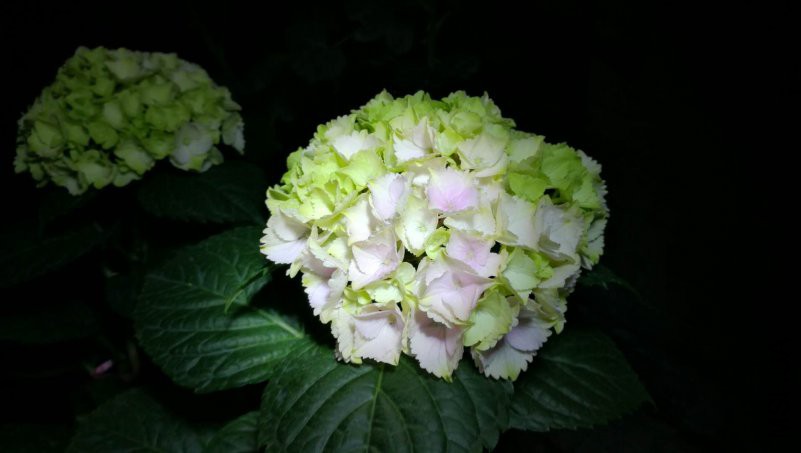 ΢��ͼƬ_20180515144007.jpg