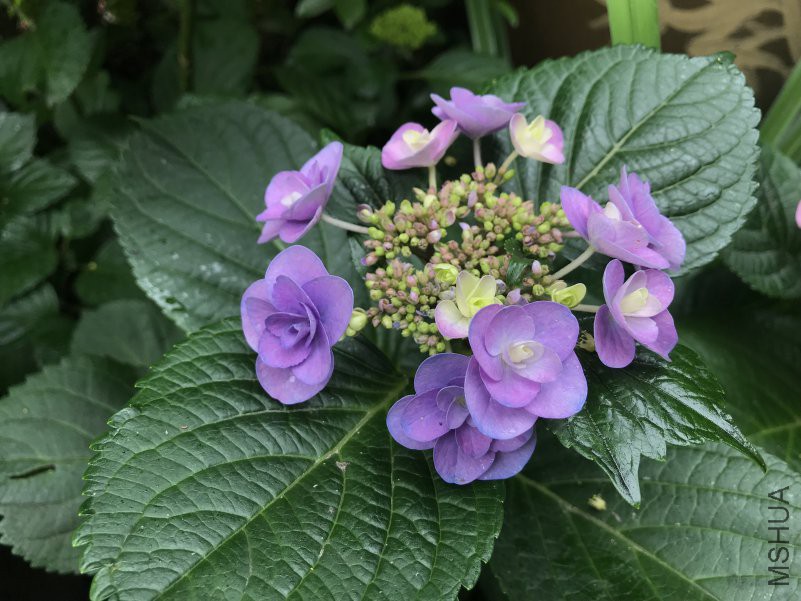 ���� ����֮ͫ