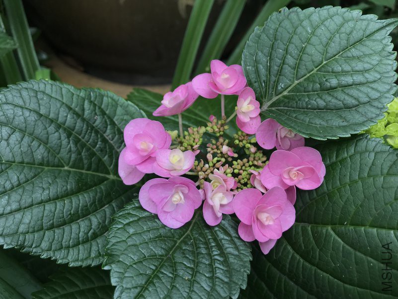 ���� ����֮ͫ