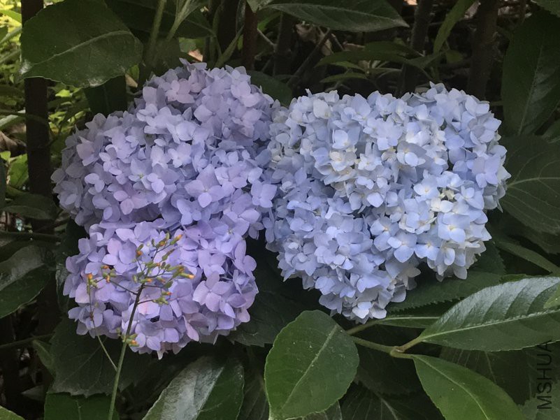 ���� �޾���