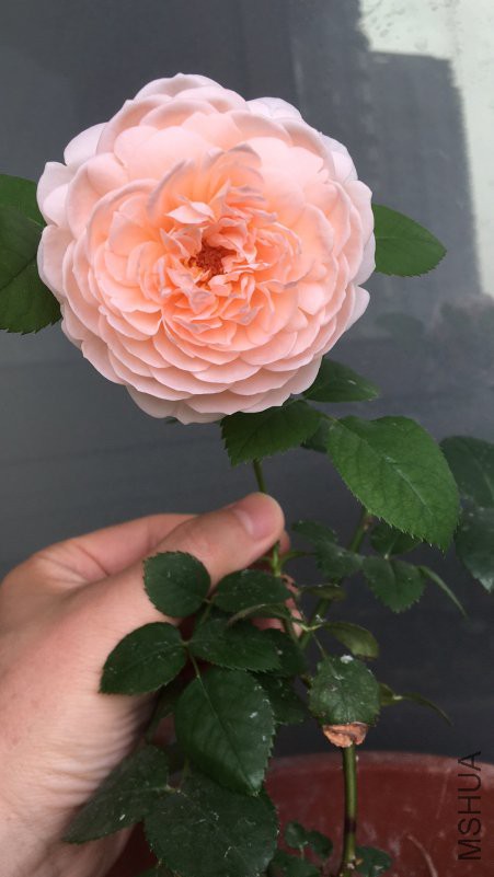 ����