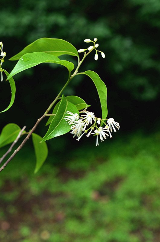 ��Ϣ������ذ�Ϣ�� (9).JPG