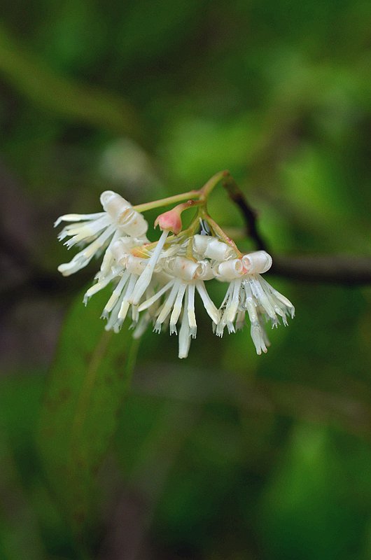 ��Ϣ������ذ�Ϣ�� (2).JPG