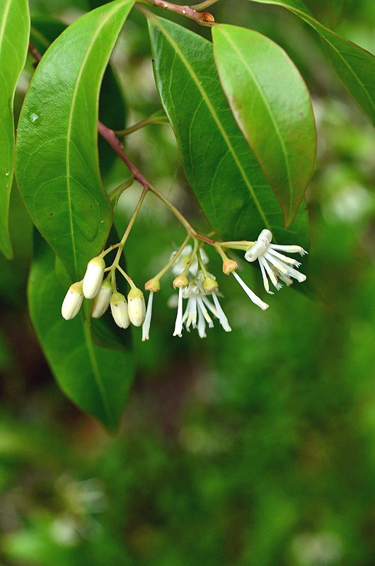 ��Ϣ������ذ�Ϣ�� (3).JPG