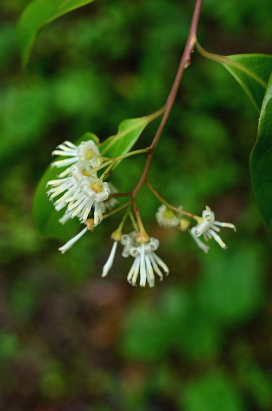 ��Ϣ������ذ�Ϣ�� (4).JPG