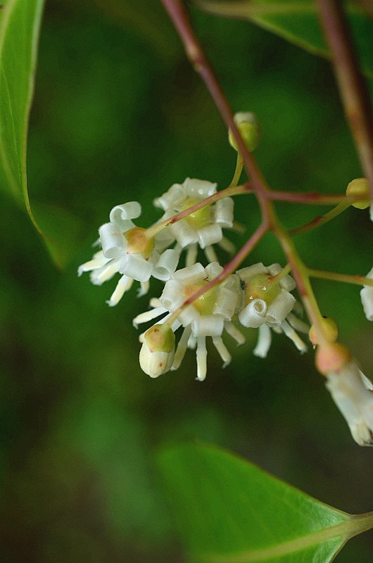 ��Ϣ������ذ�Ϣ�� (5).JPG