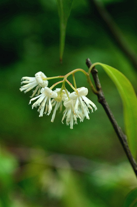 ��Ϣ������ذ�Ϣ�� (6).JPG